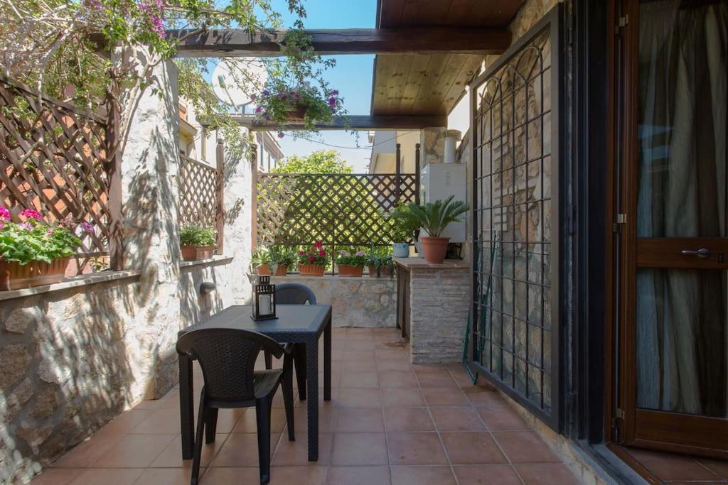 Brancaleone 86 - Garden Appartamento *